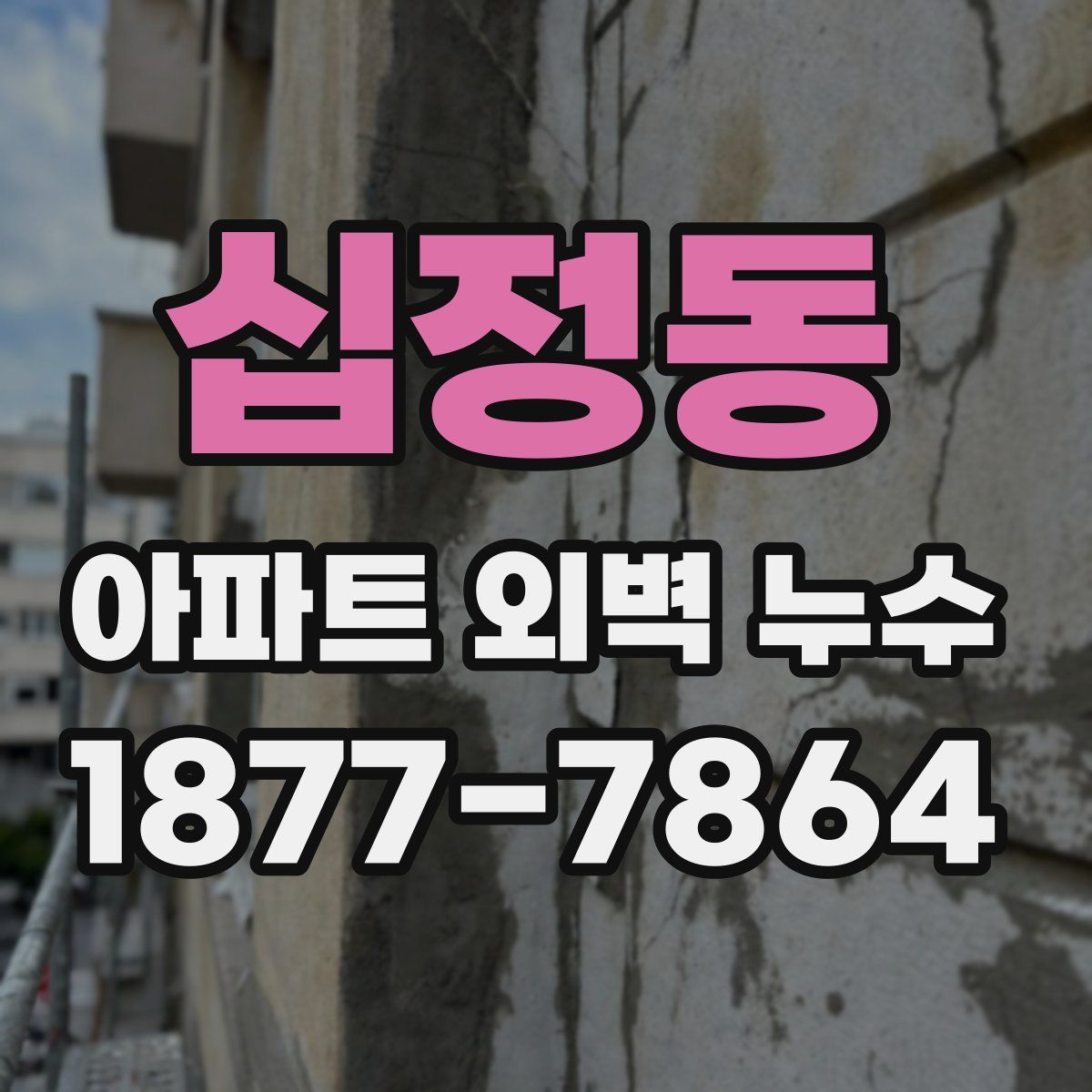십정동 아파트 외벽 누수