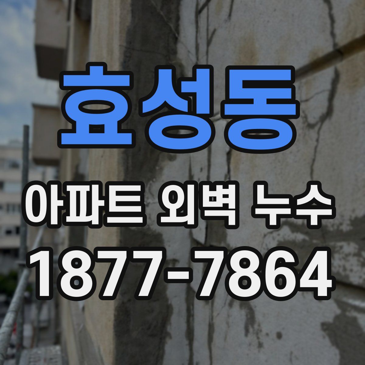 효성동 아파트 외벽 누수