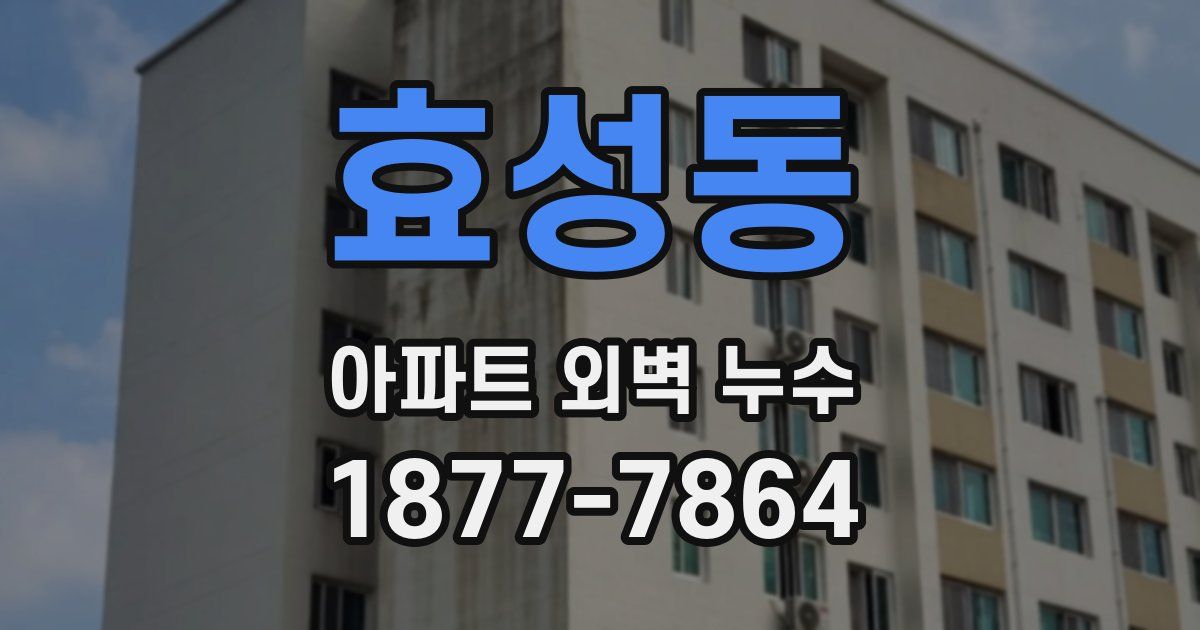 효성동 아파트 외벽 누수