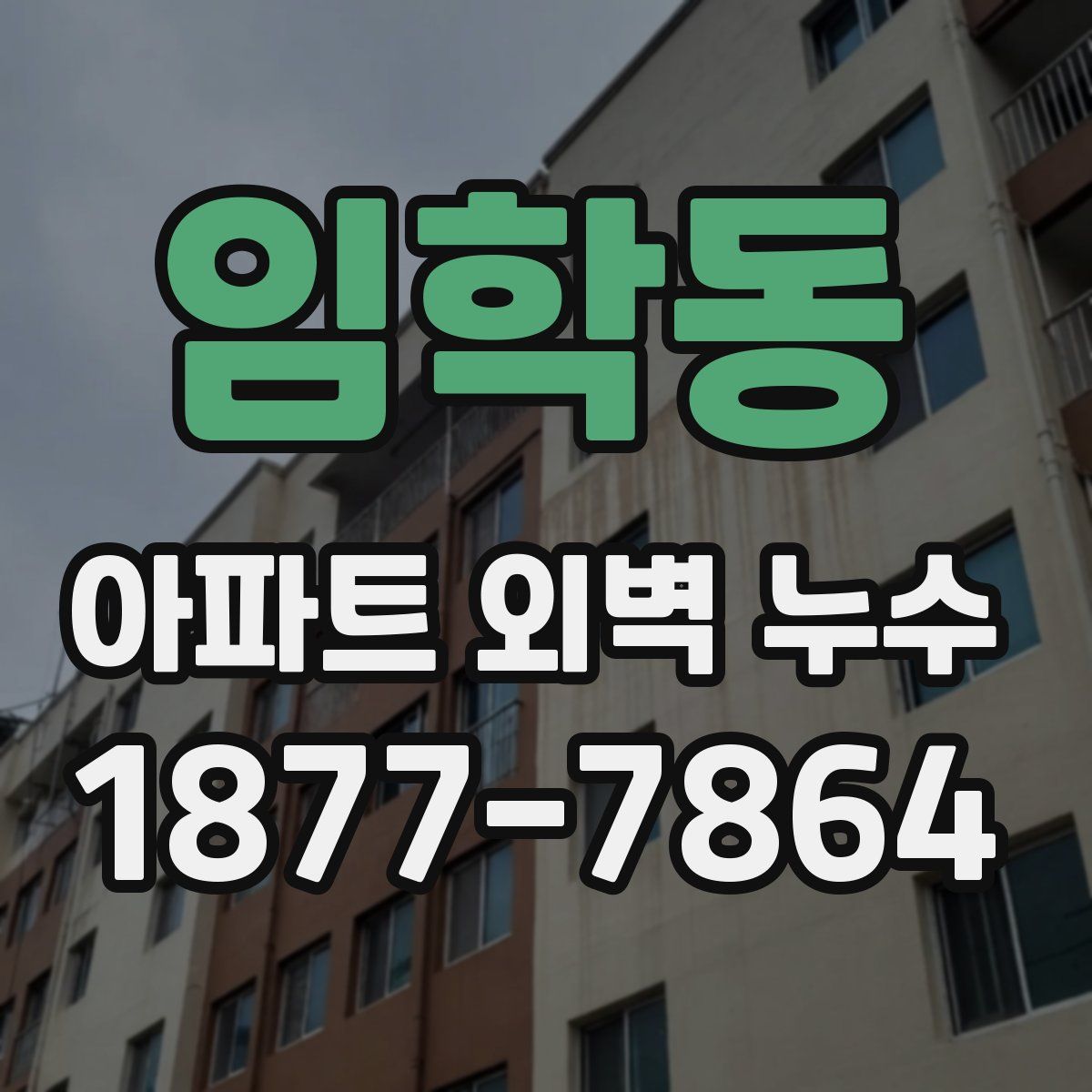 임학동 아파트 외벽 누수
