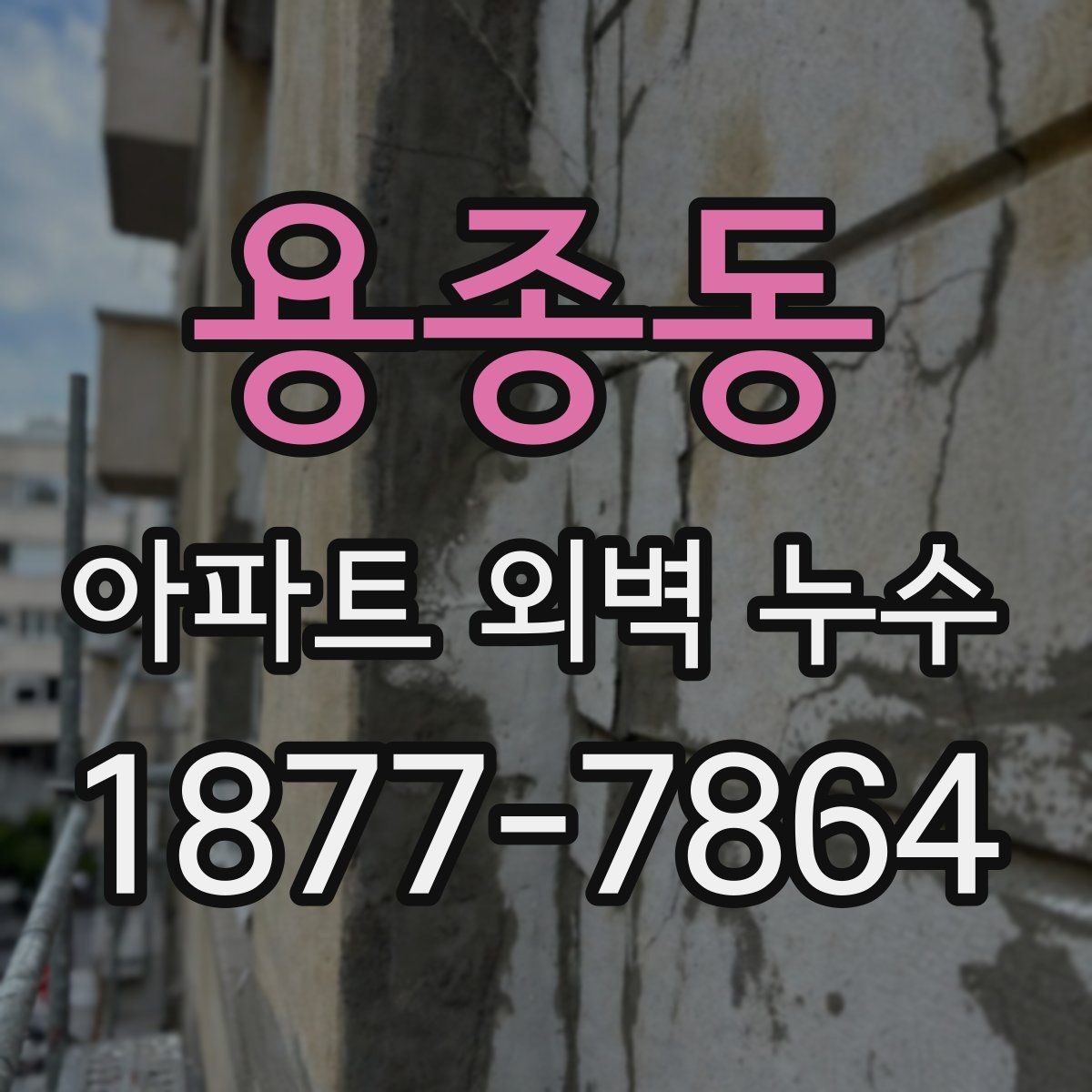 용종동 아파트 외벽 누수 상황에서 입주민이 해야 할 일