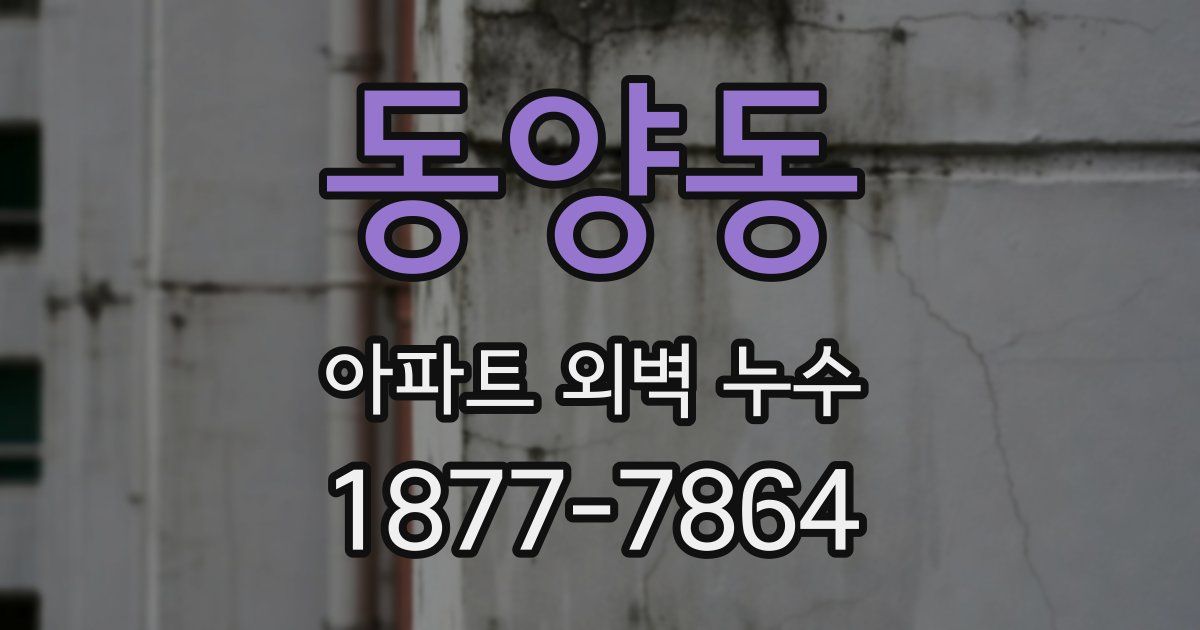 동양동 아파트 외벽 누수