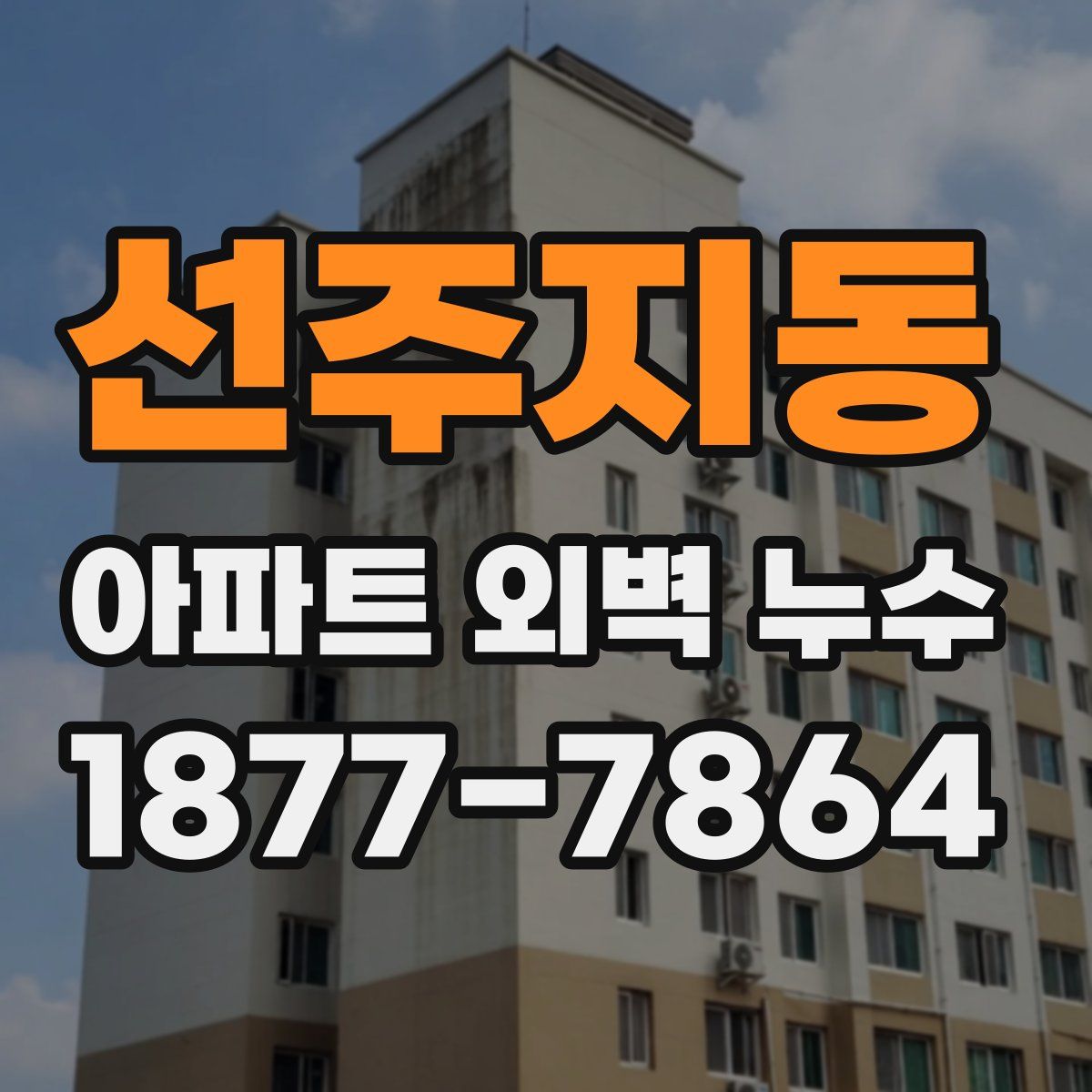 선주지동 아파트 외벽 누수