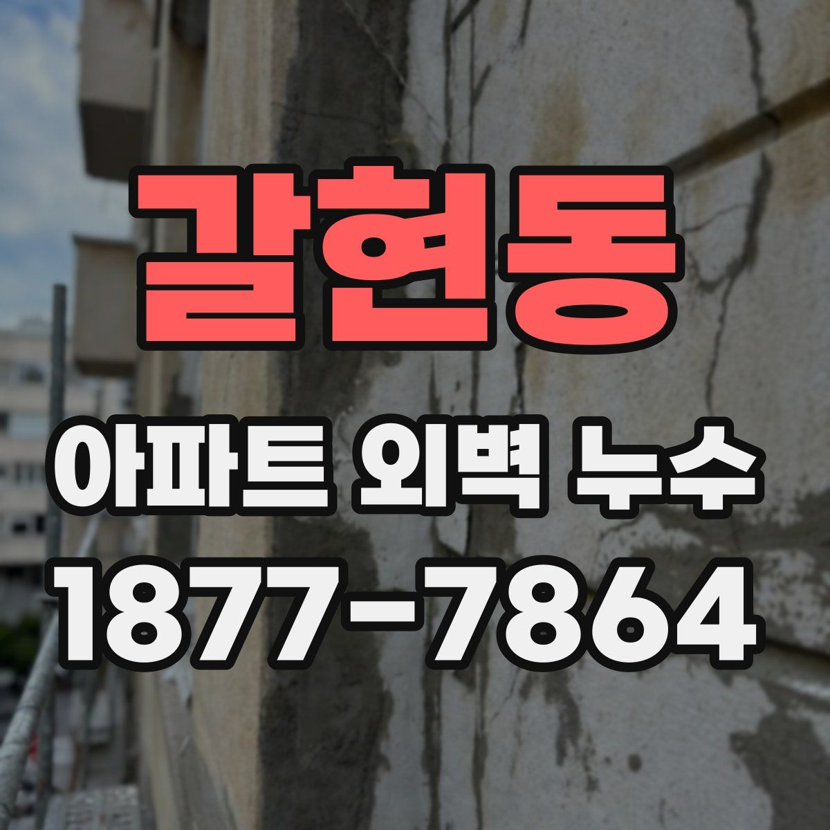 갈현동 아파트 외벽 누수
