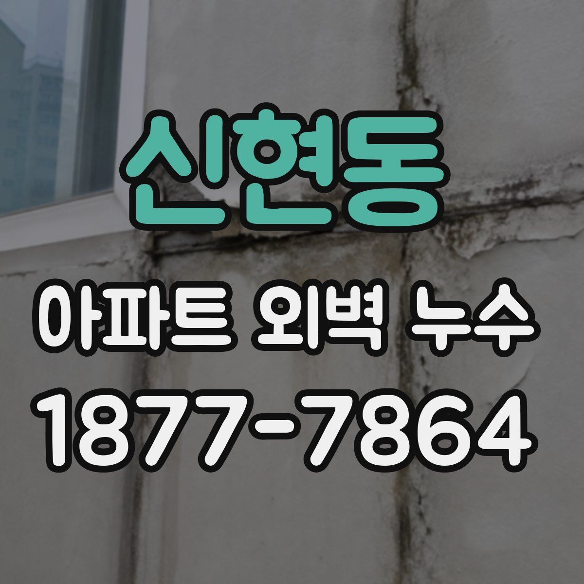 신현동 아파트 외벽 누수