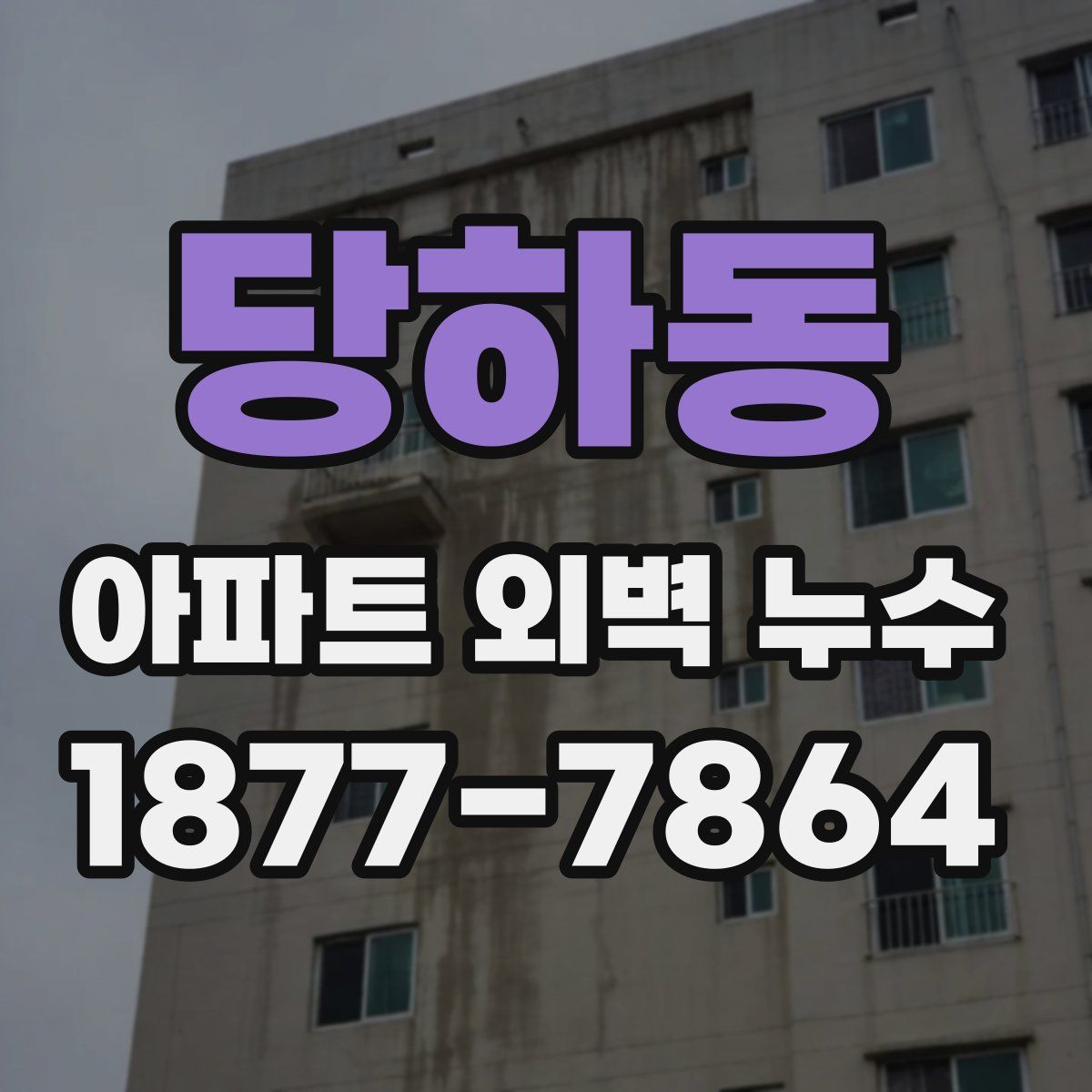 당하동 아파트 외벽 누수