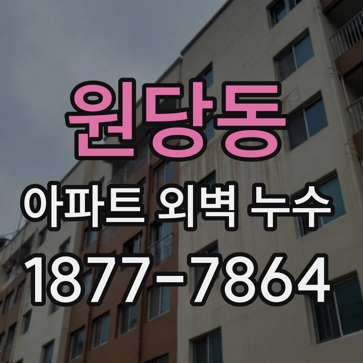 원당동 아파트 외벽 누수 예방부터 보수까지 실무 정리