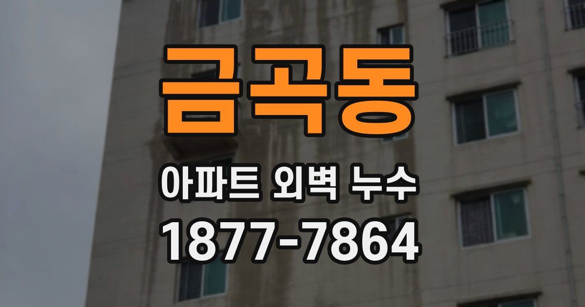 금곡동 아파트 외벽 누수