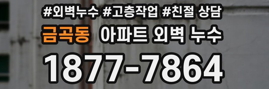금곡동 아파트 외벽 누수