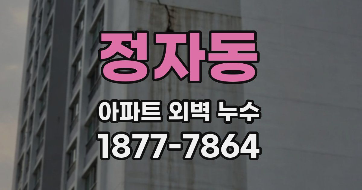 정자동 아파트 외벽 누수