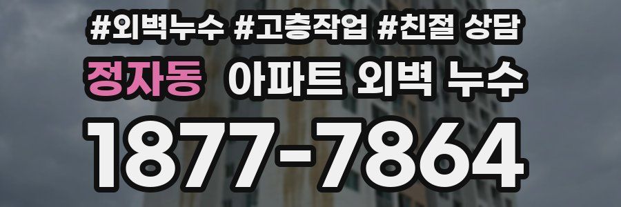 정자동 아파트 외벽 누수