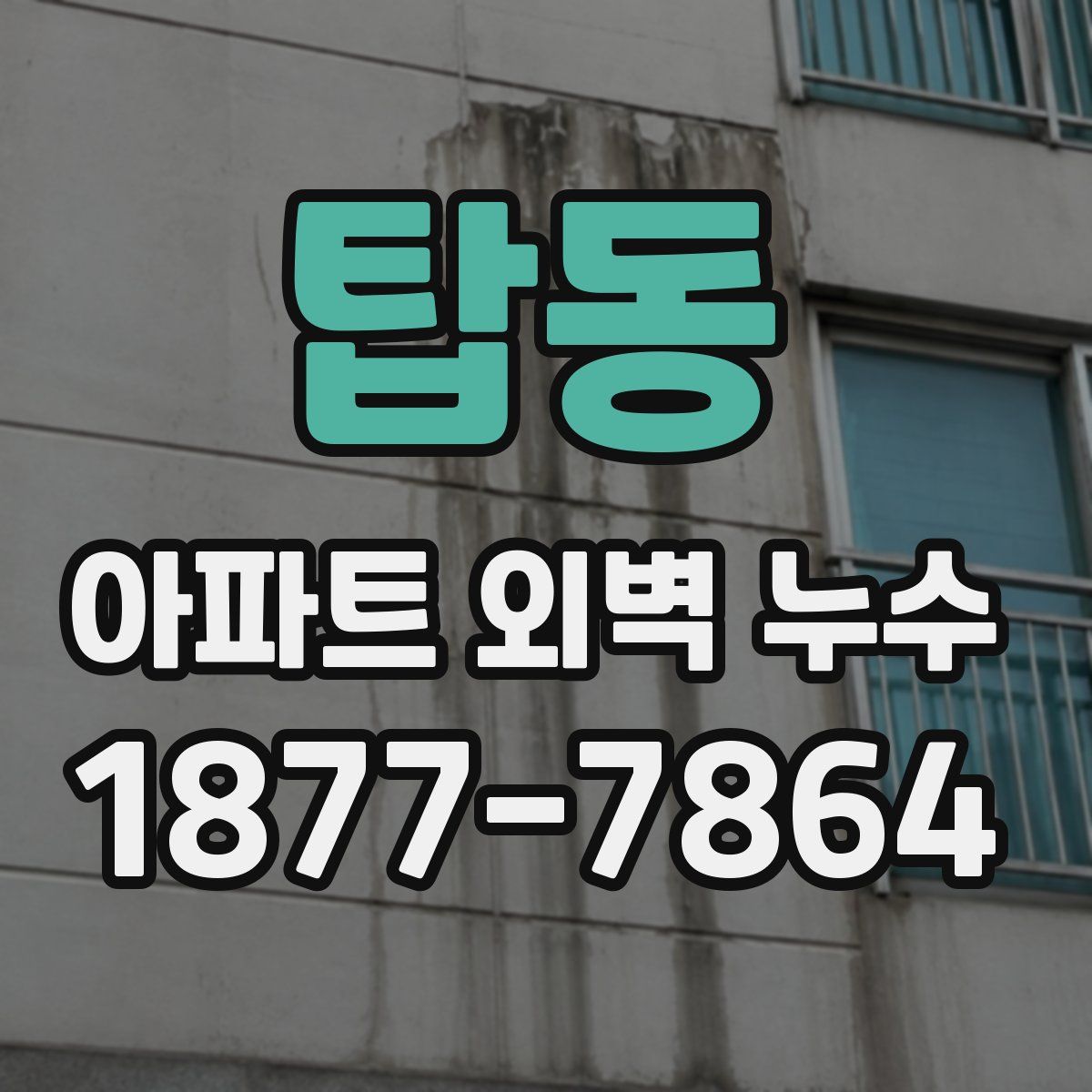 탑동 아파트 외벽 누수