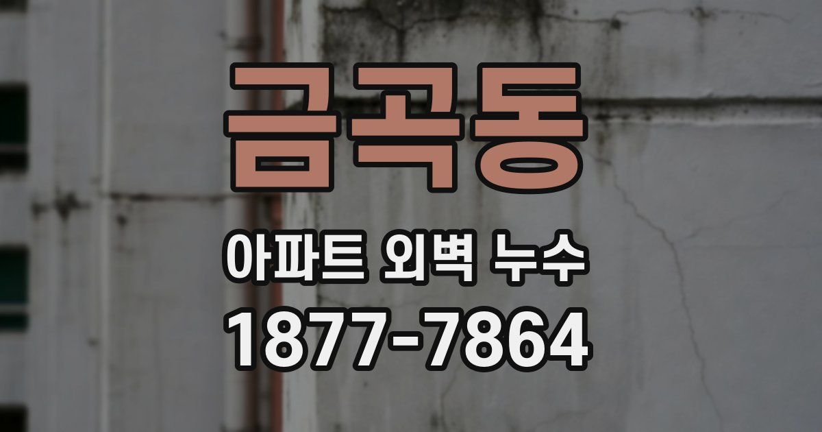 금곡동 아파트 외벽 누수