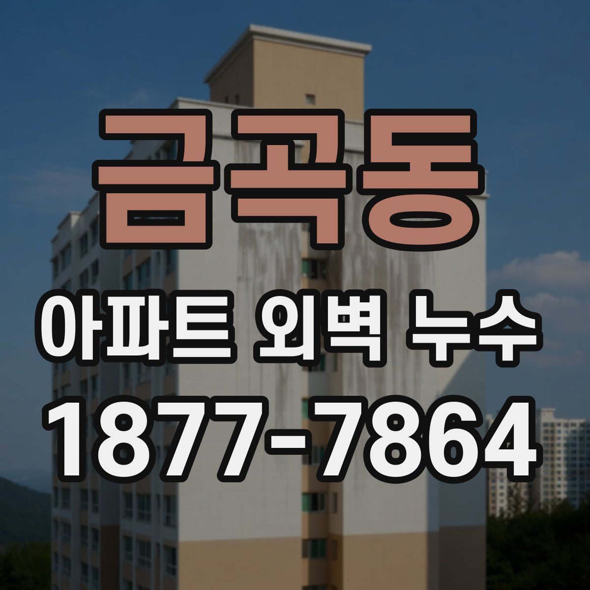 금곡동 아파트 외벽 누수