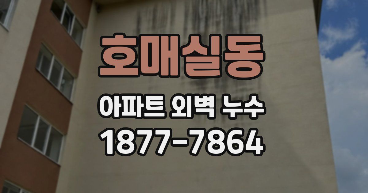 호매실동 아파트 외벽 누수