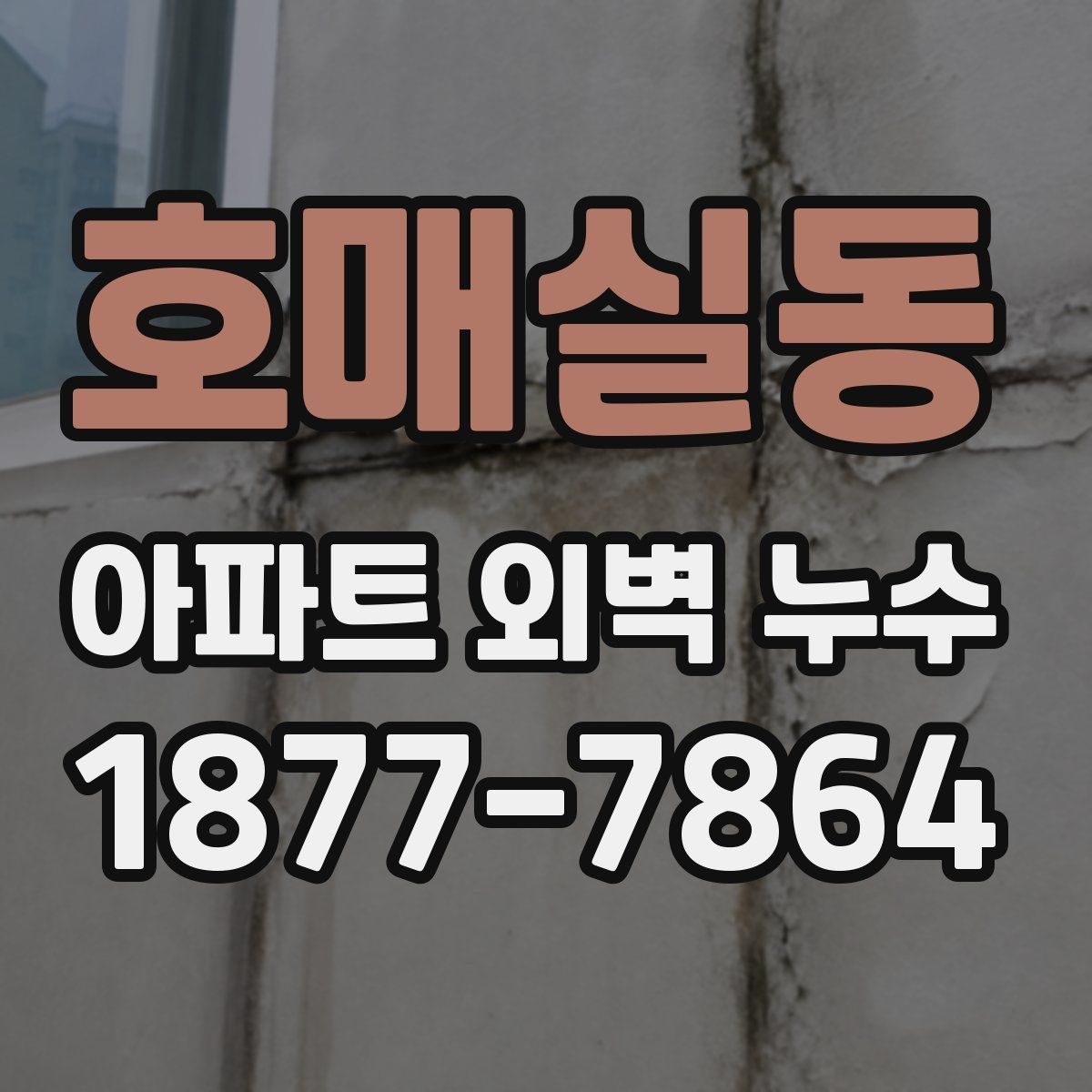호매실동 아파트 외벽 누수