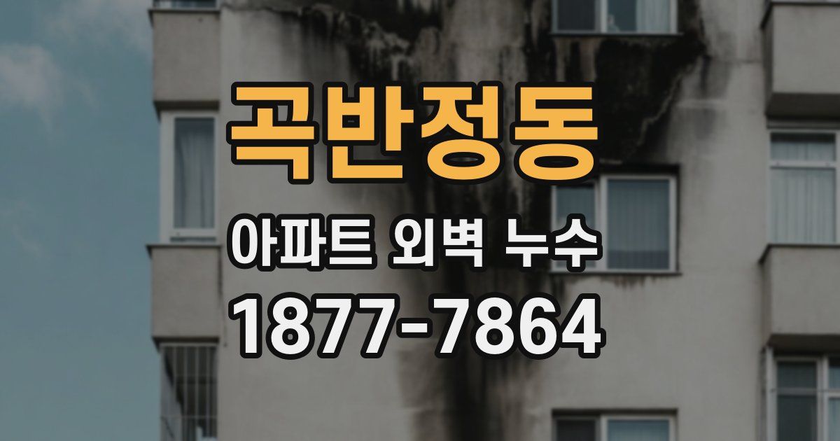 곡반정동 아파트 외벽 누수