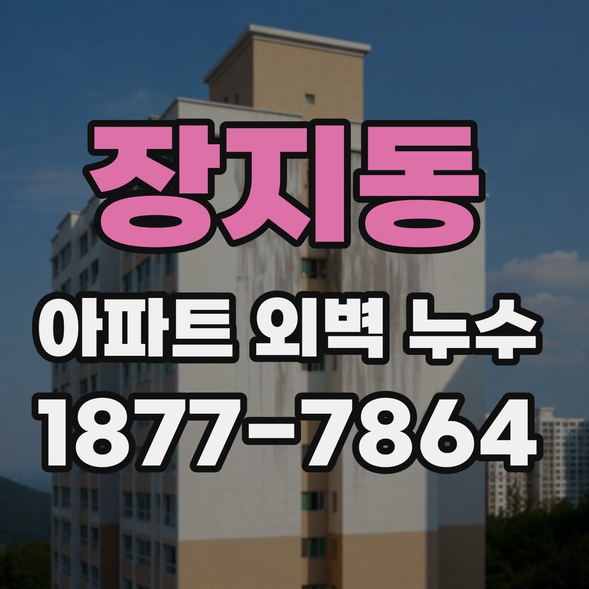 장지동 아파트 외벽 누수