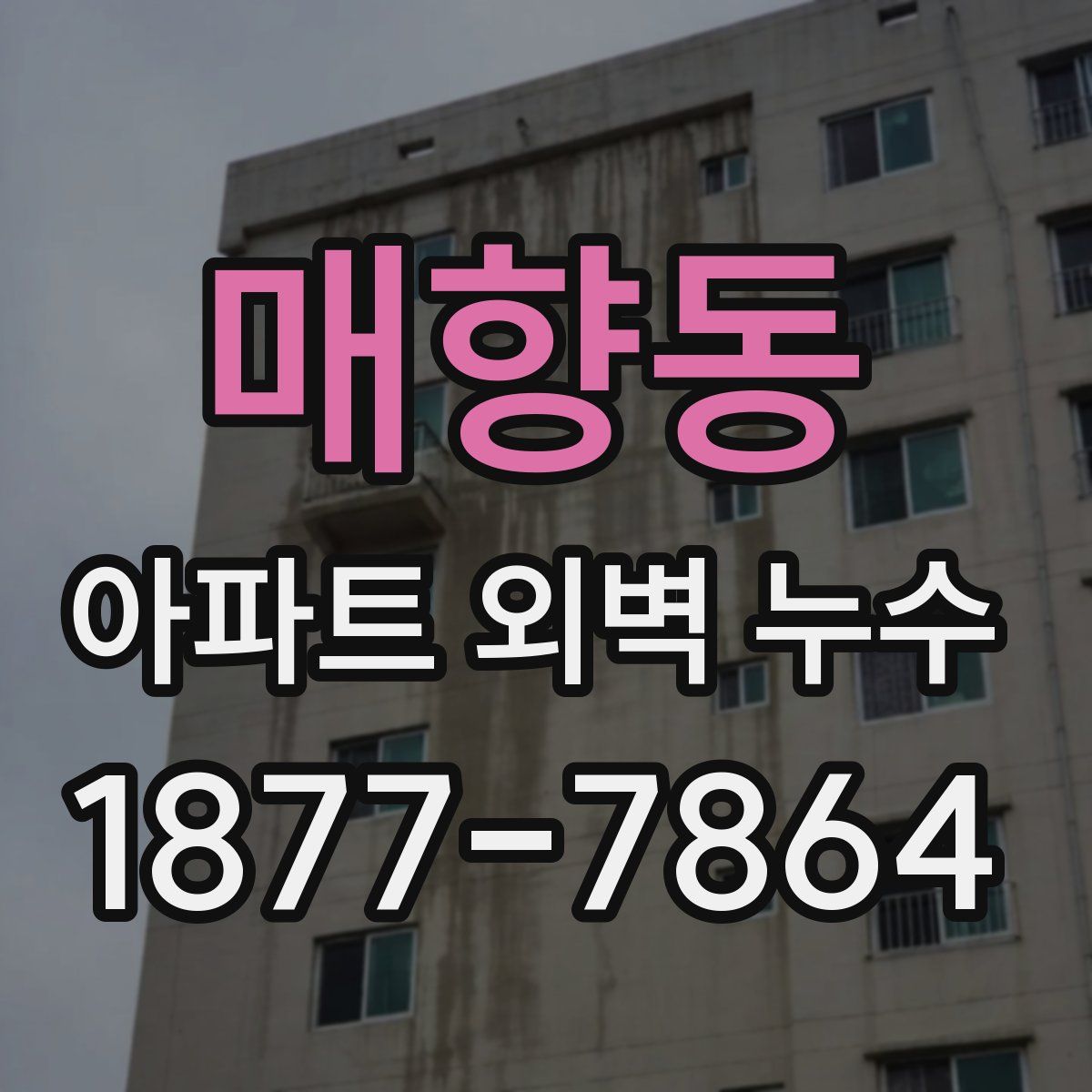 매향동 아파트 외벽 누수