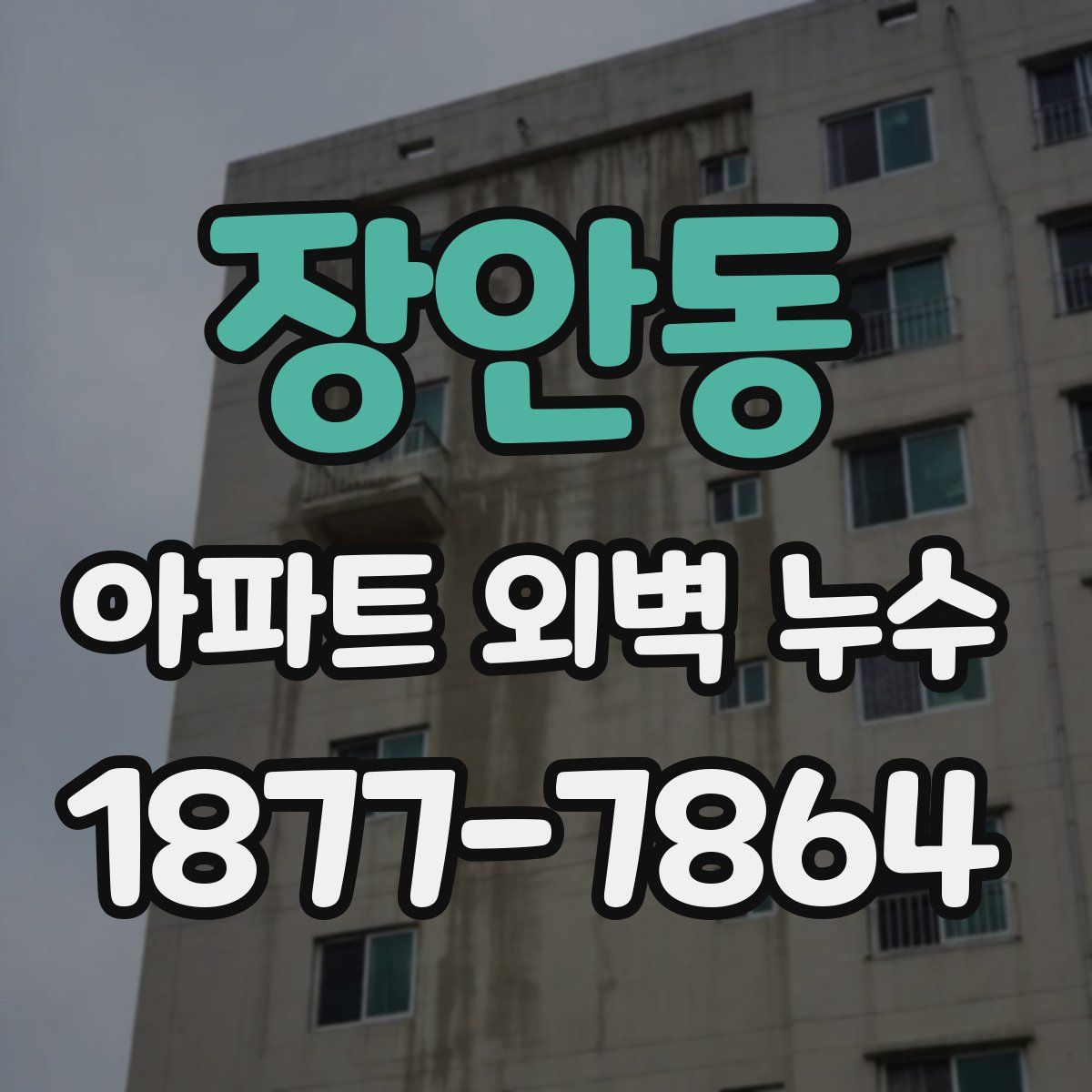 장안동 아파트 외벽 누수