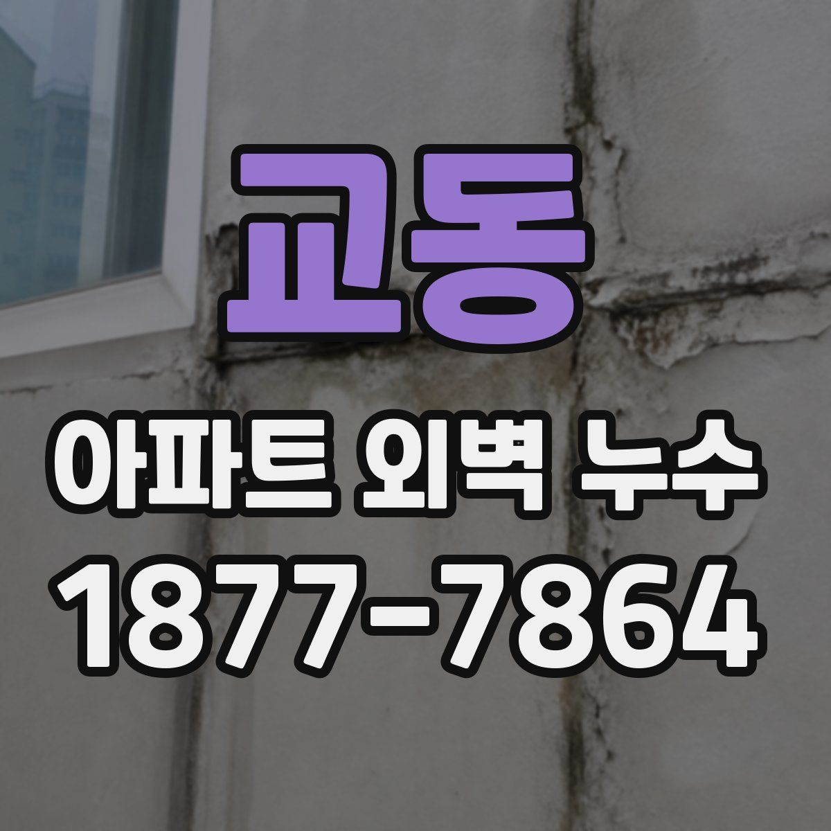 교동 아파트 외벽 누수