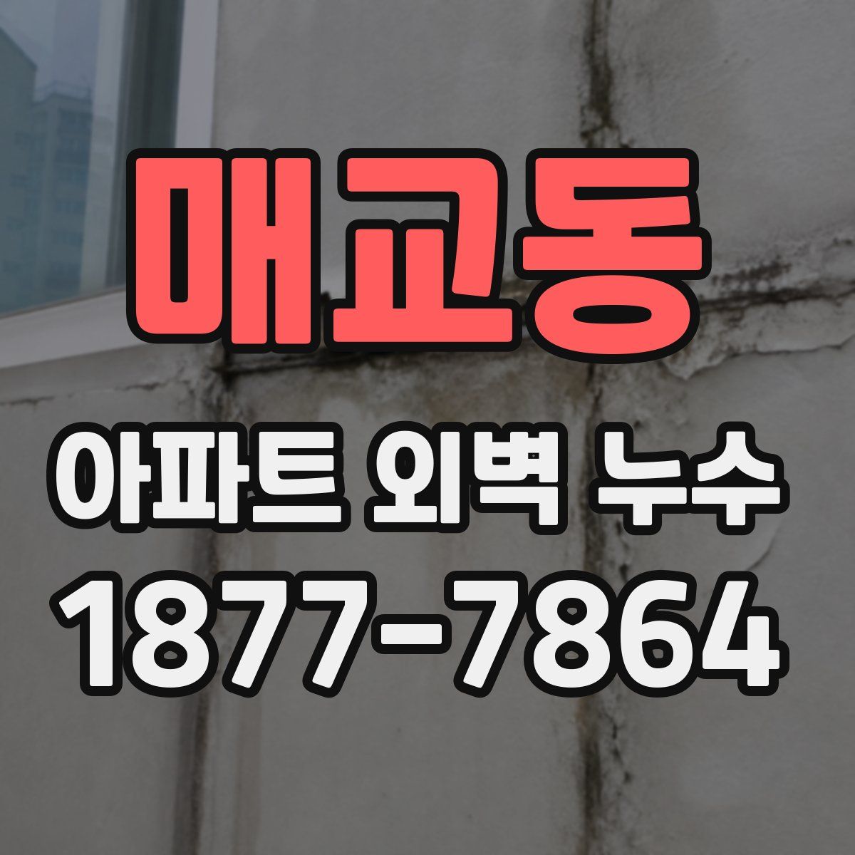 매교동 아파트 외벽 누수