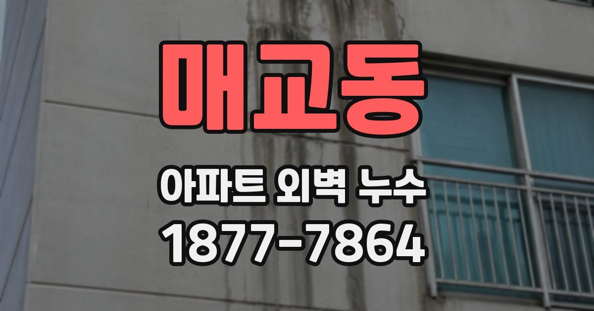 매교동 아파트 외벽 누수