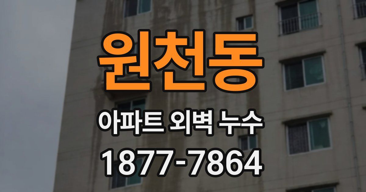 원천동 아파트 외벽 누수