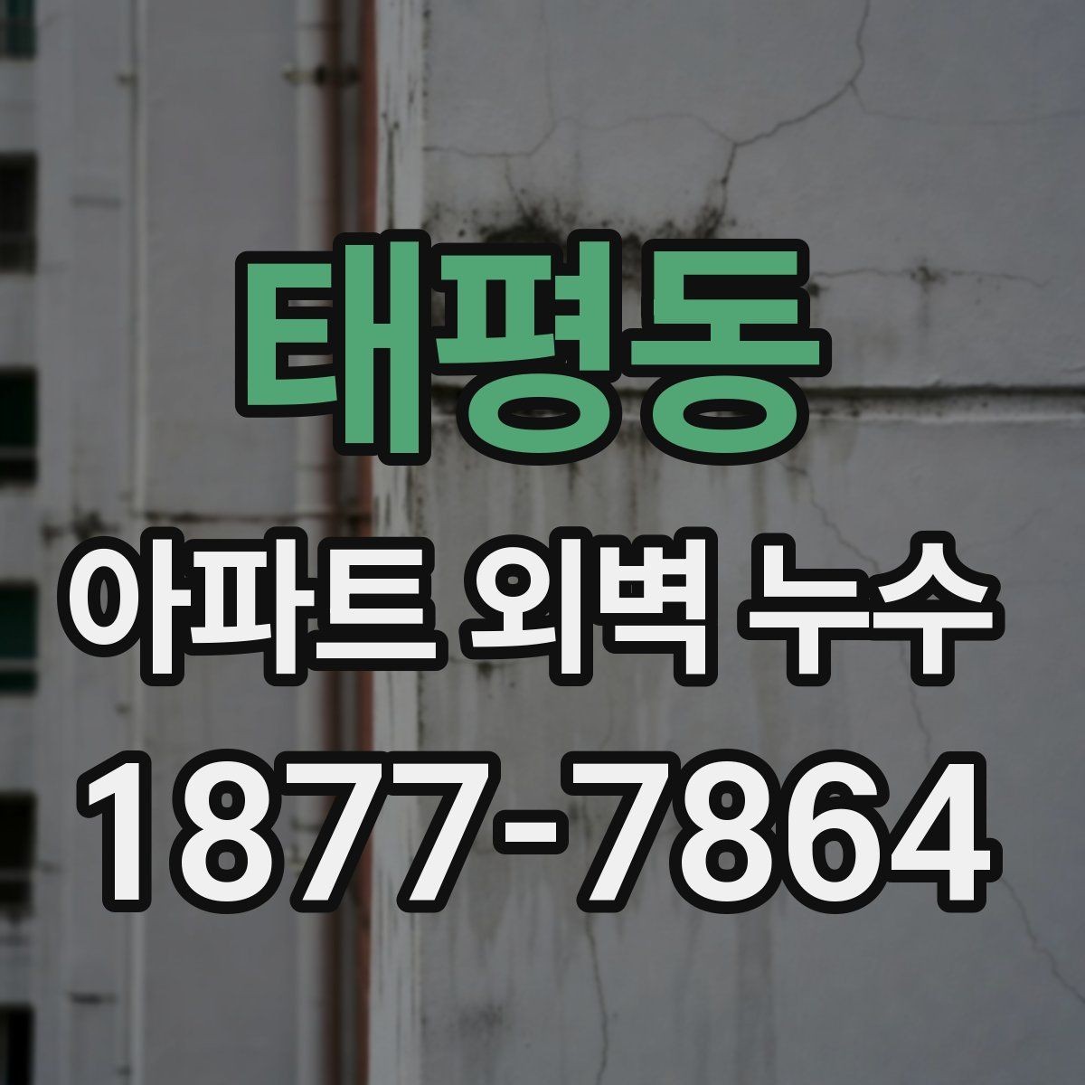 태평동 아파트 외벽 누수 원인부터 점검하는 방법