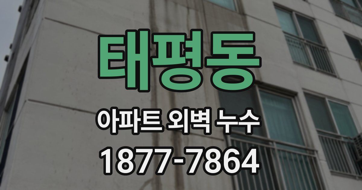 태평동 아파트 외벽 누수
