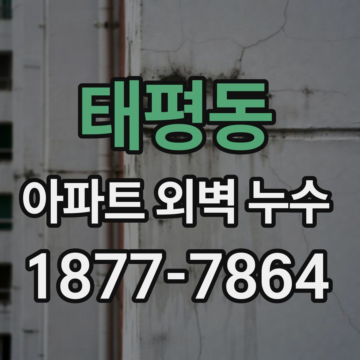 태평동 아파트 외벽 누수