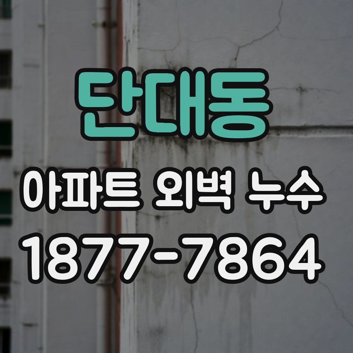 단대동 아파트 외벽 누수