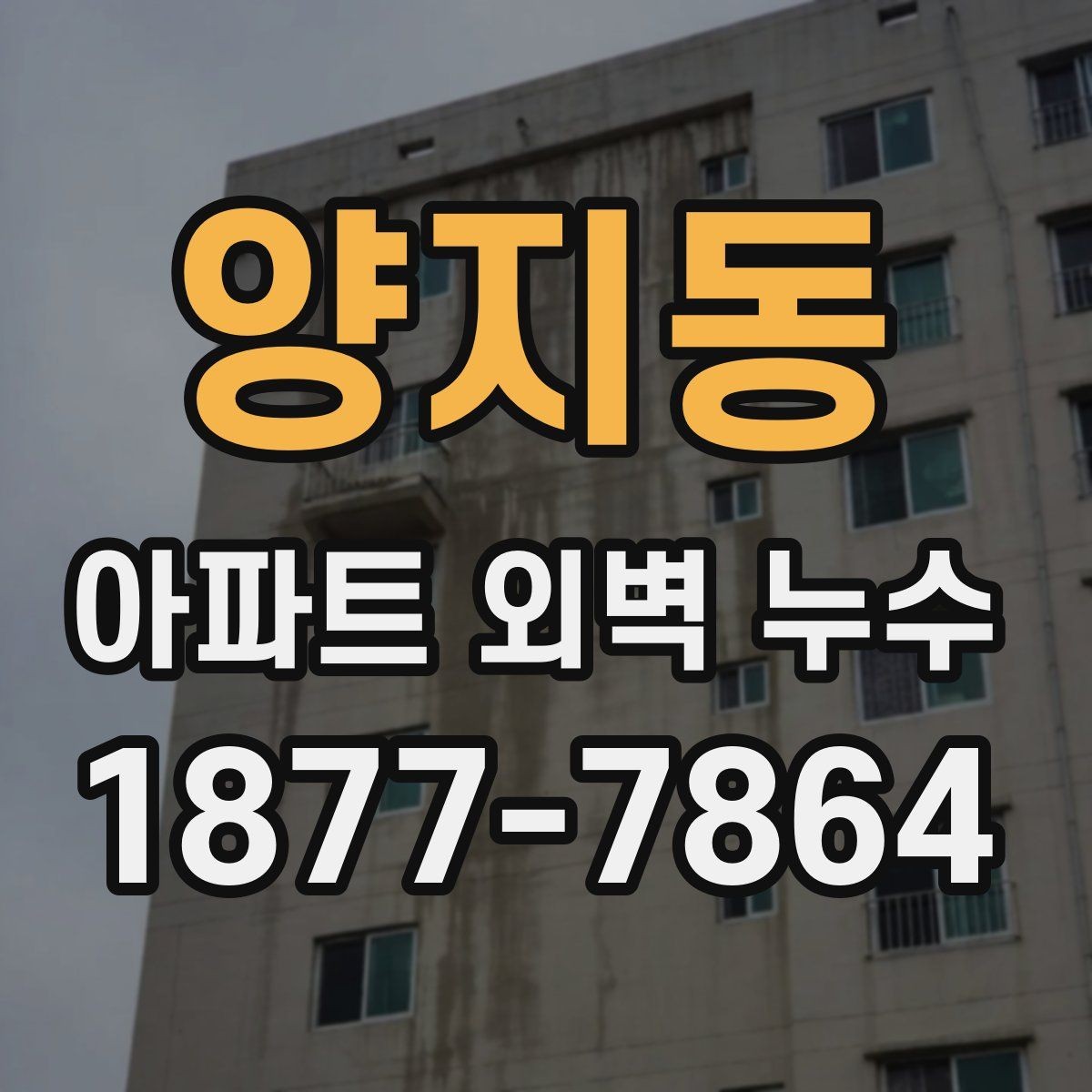 양지동 아파트 외벽 누수 확인 후 협의해야 할 내용