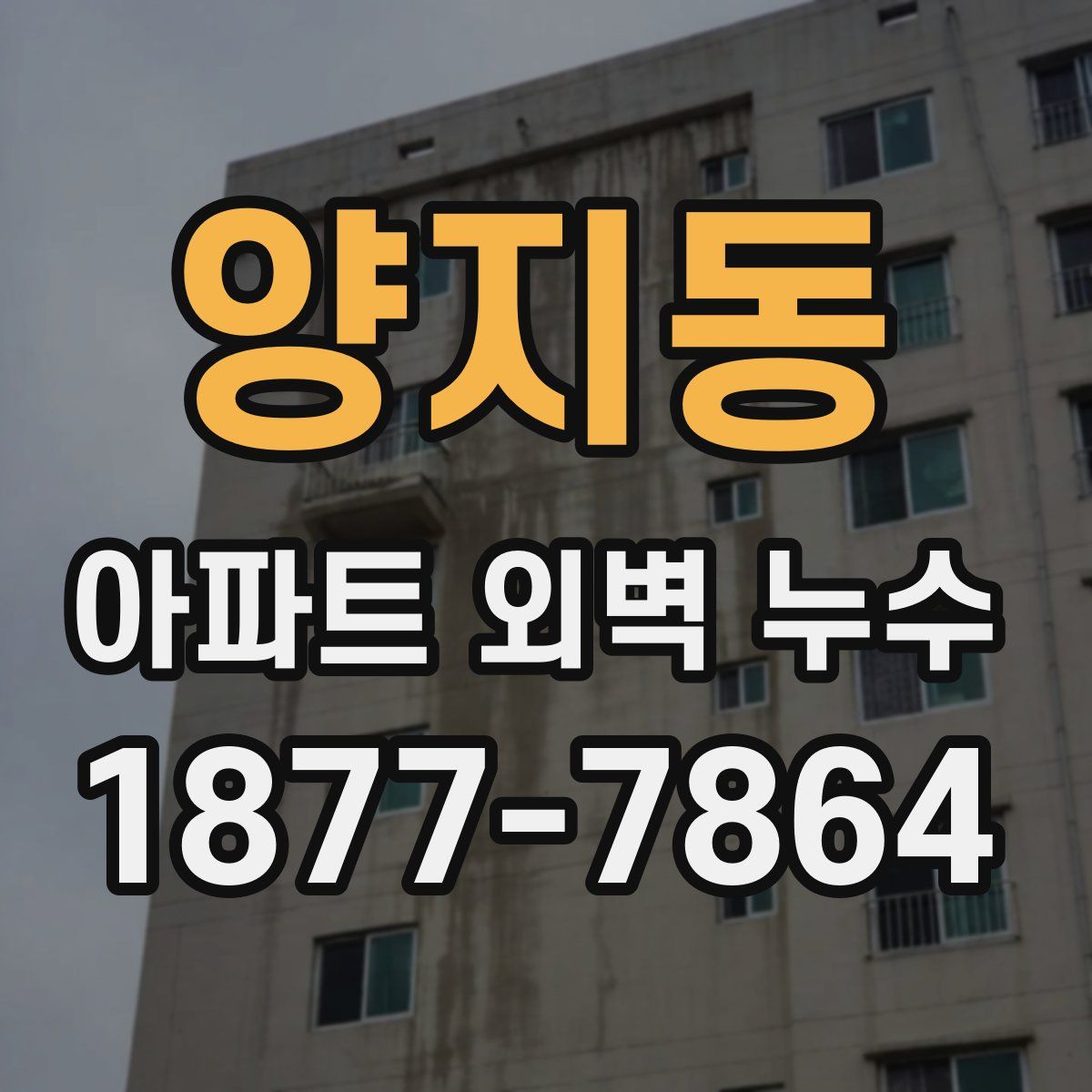 양지동 아파트 외벽 누수