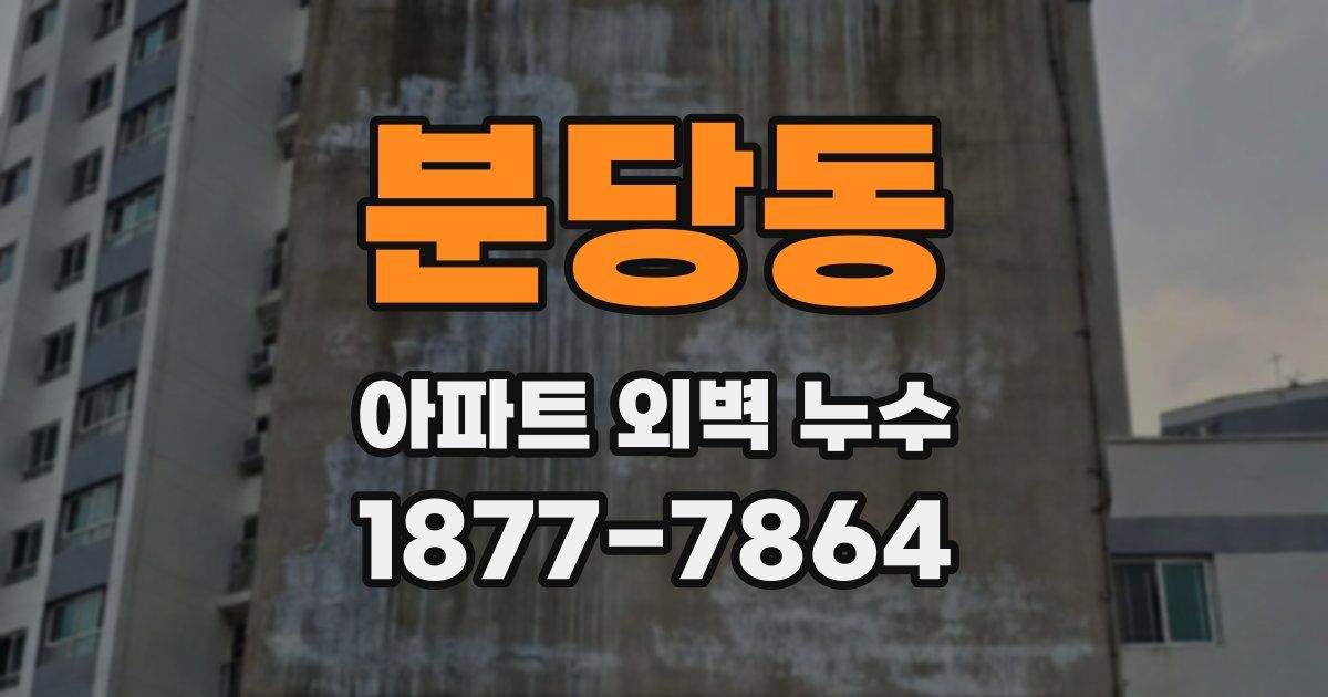 분당동 아파트 외벽 누수