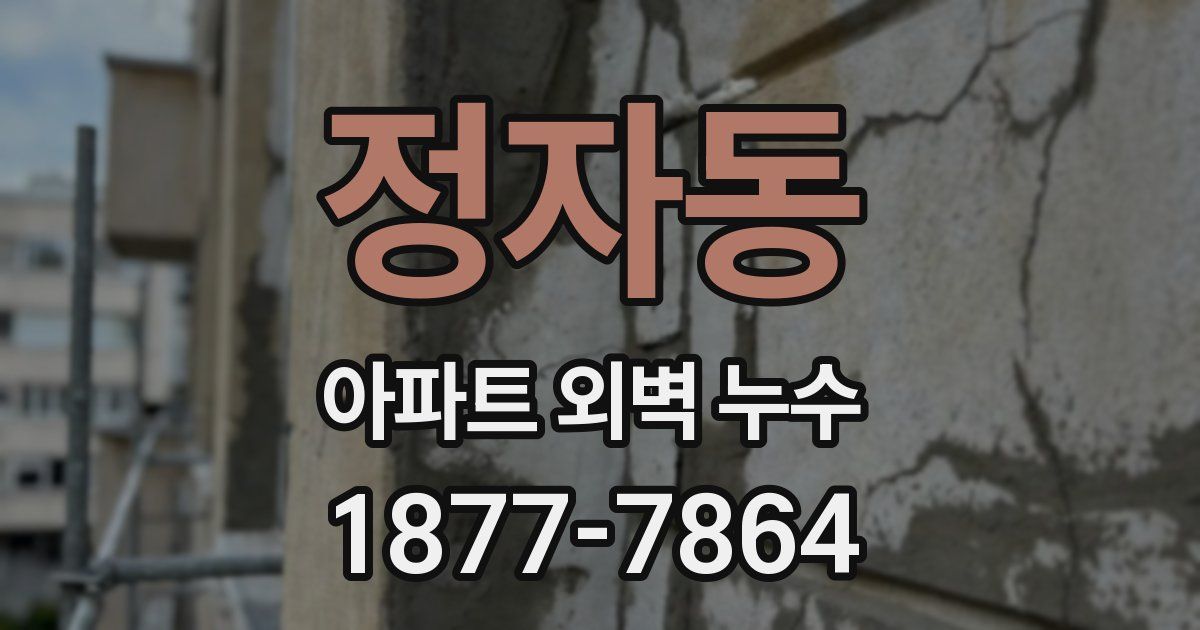 정자동 아파트 외벽 누수