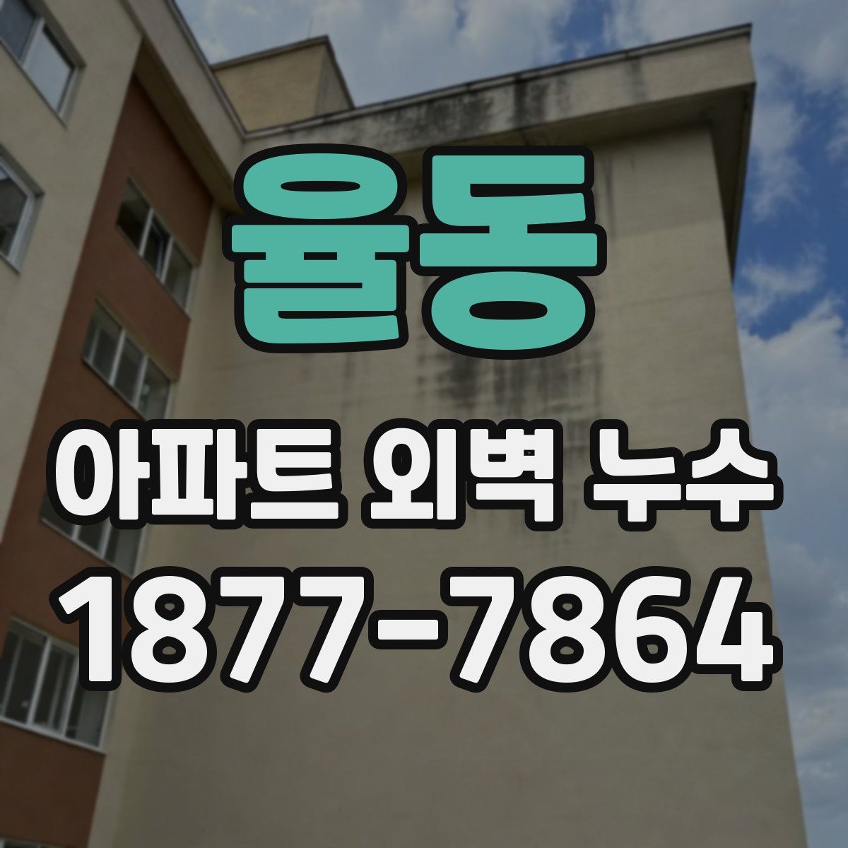 율동 아파트 외벽 누수