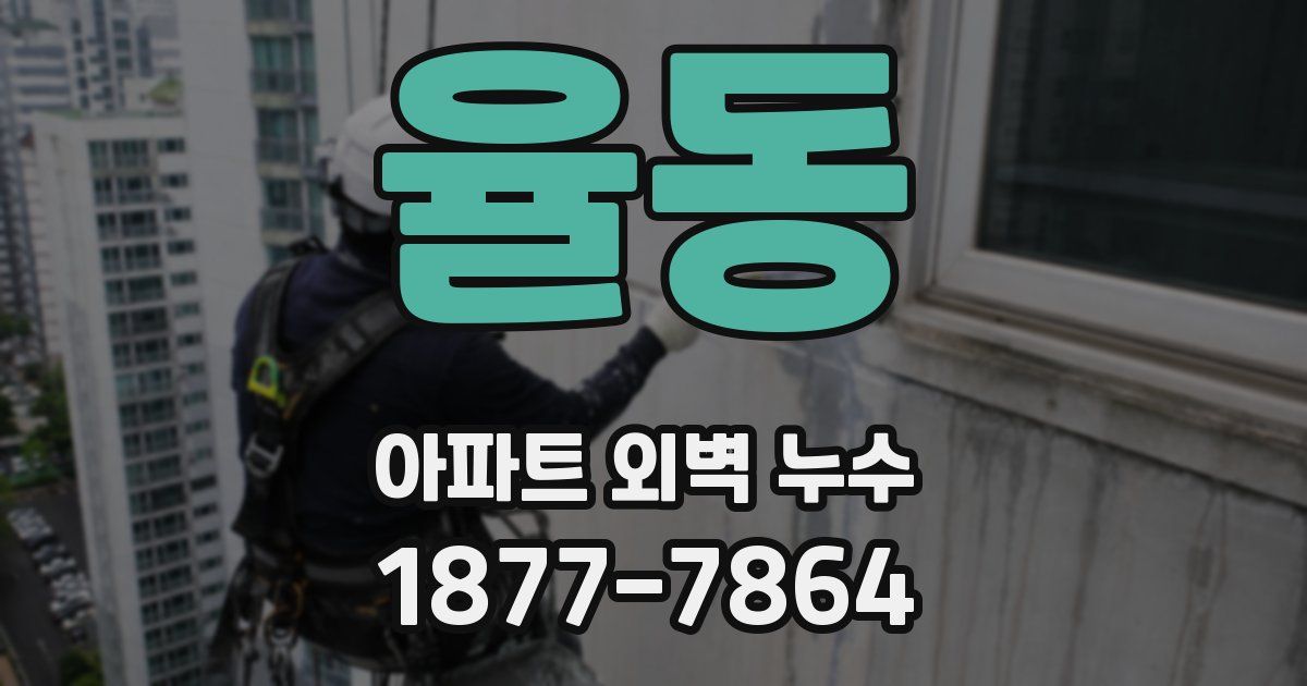 율동 아파트 외벽 누수