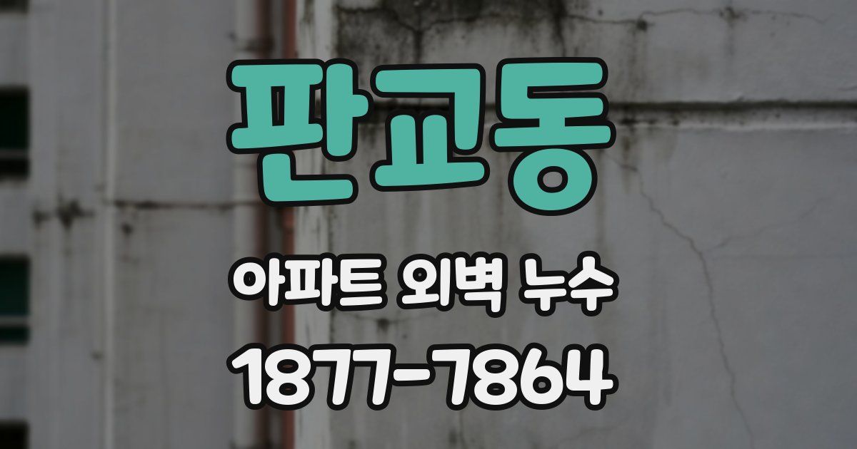 판교동 아파트 외벽 누수