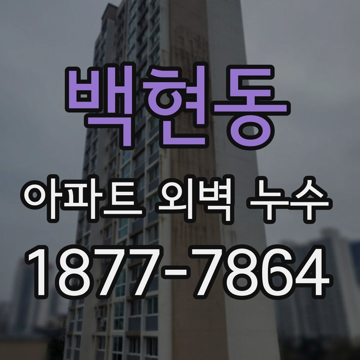 백현동 아파트 외벽 누수