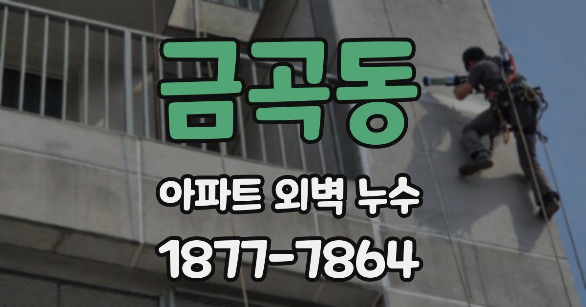 금곡동 아파트 외벽 누수