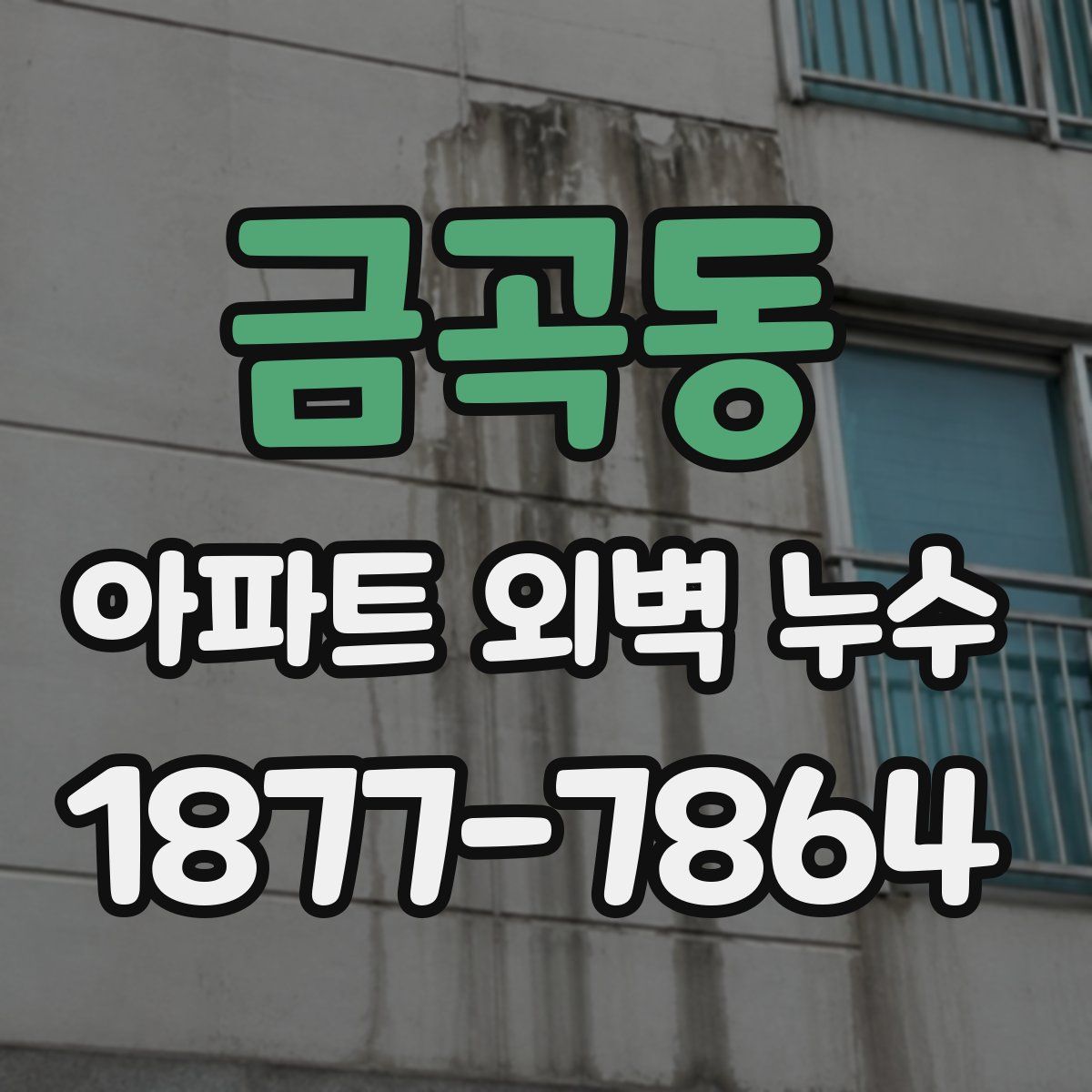 금곡동 아파트 외벽 누수