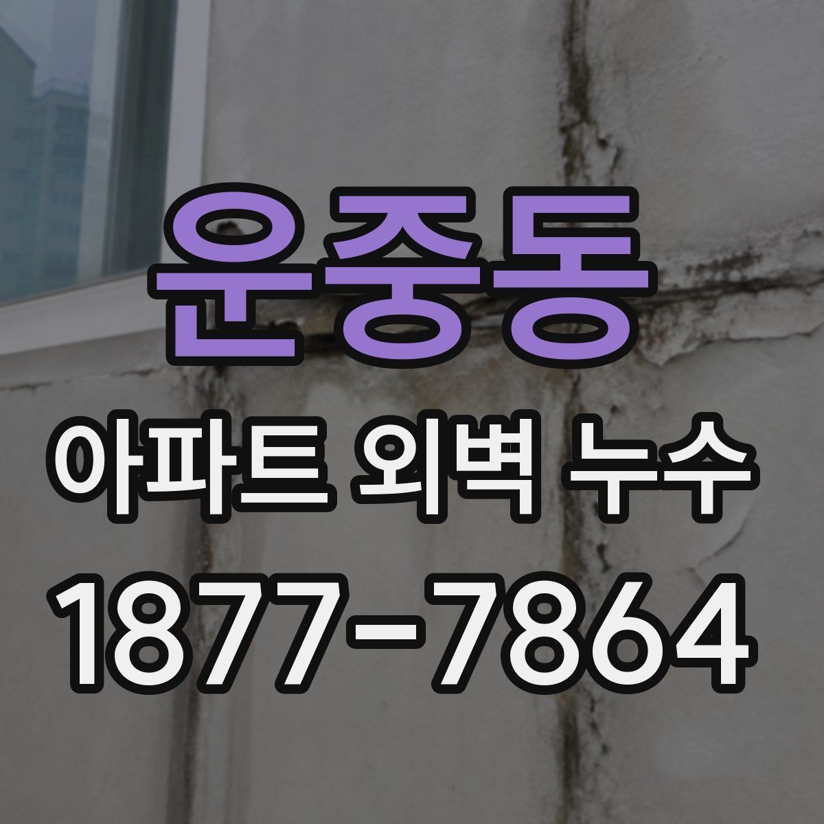 운중동 아파트 외벽 누수 수리 전 견적 비교할 때