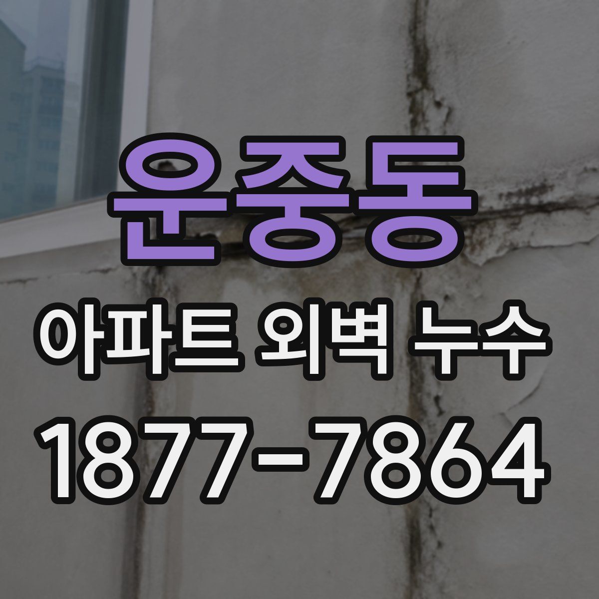운중동 아파트 외벽 누수