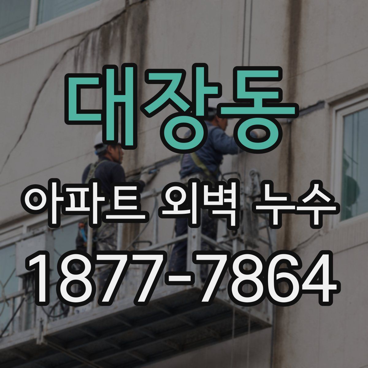 대장동 아파트 외벽 누수