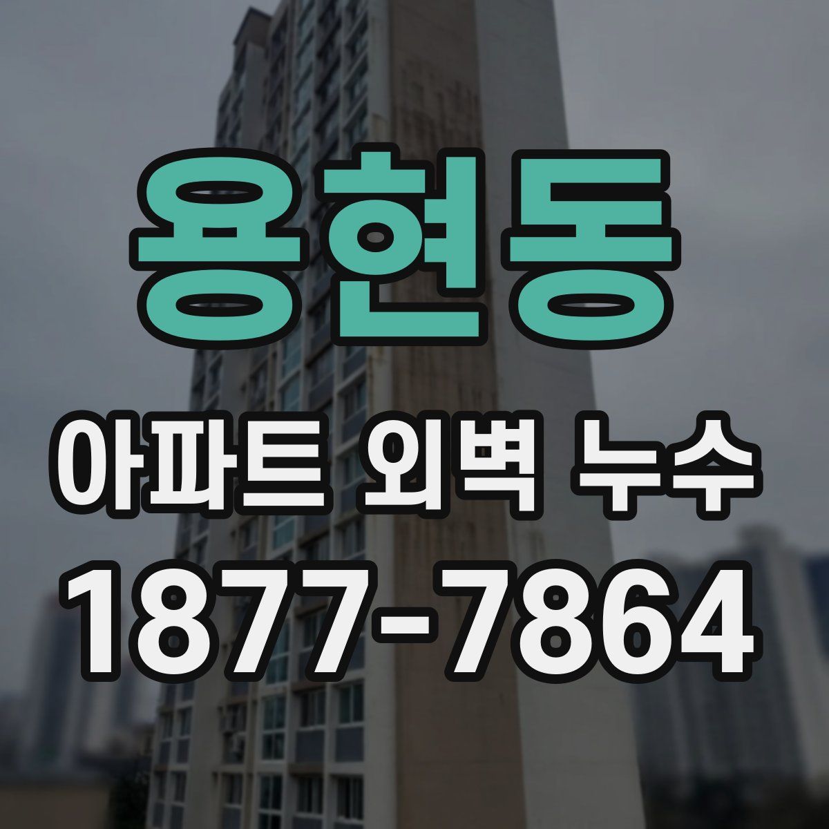 용현동 아파트 외벽 누수