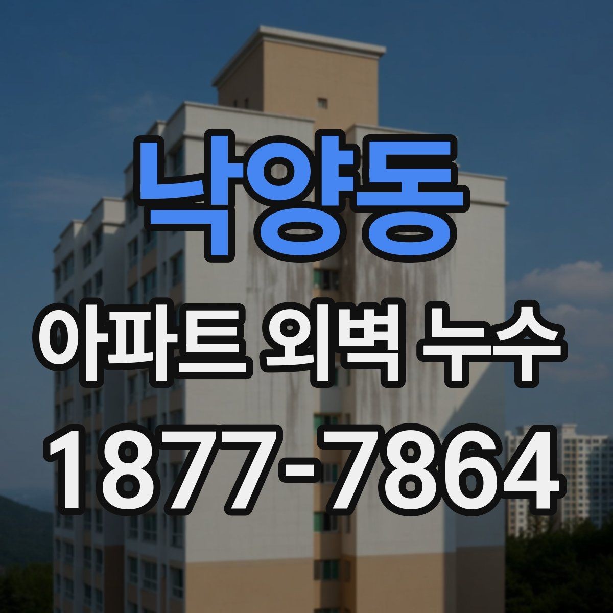 낙양동 아파트 외벽 누수 원인 파악을 위한 현장 확인법