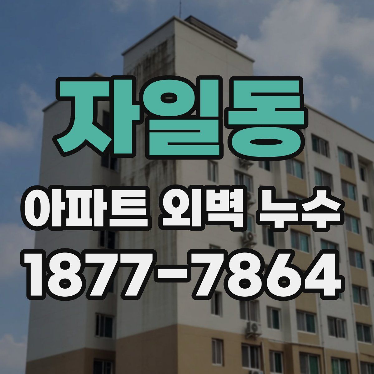 자일동 아파트 외벽 누수