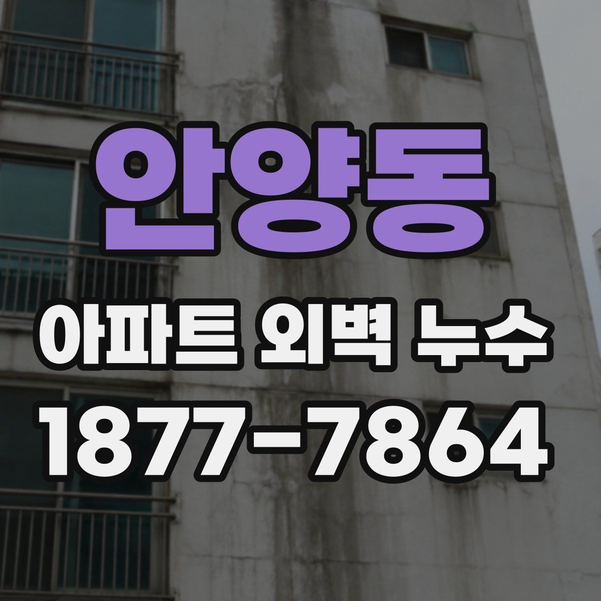 안양동 아파트 외벽 누수 관련 분쟁 전 확인해야 할 사항