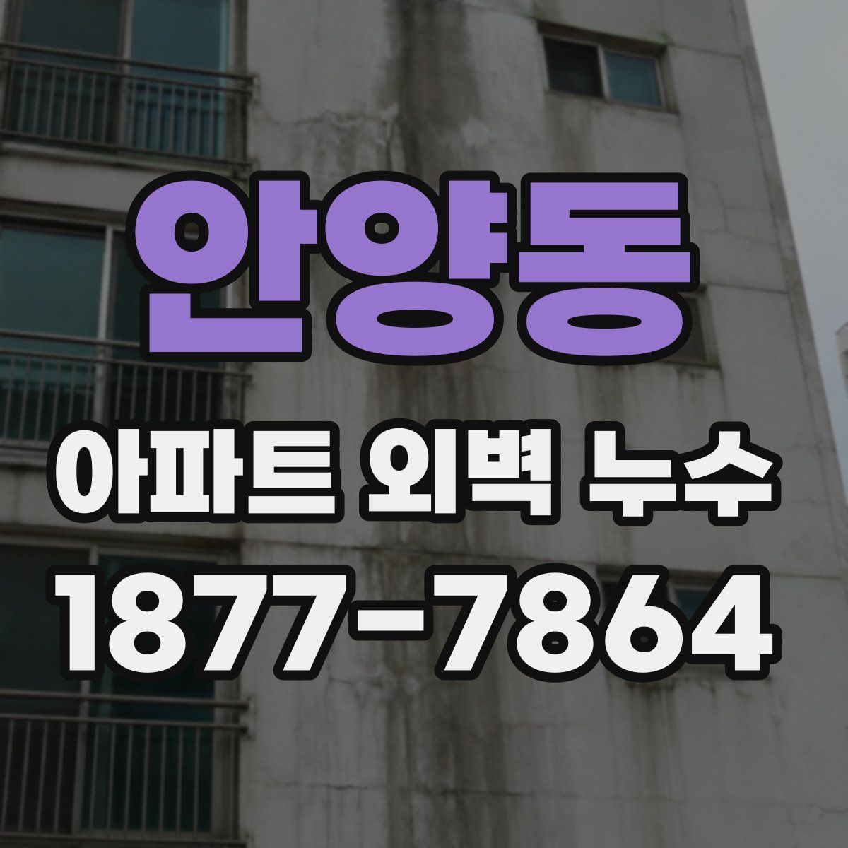 안양동 아파트 외벽 누수